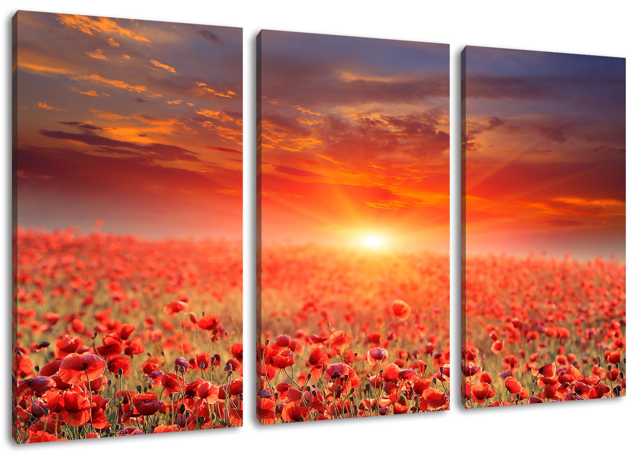 (120x80cm) (1 Sonnenuntergang Mohnblütenfeld Mohnblütenfeld St), Pixxprint bei fertig bei Zackenaufhänger 3Teiler Leinwandbild Leinwandbild inkl. Sonnenuntergang, bespannt,