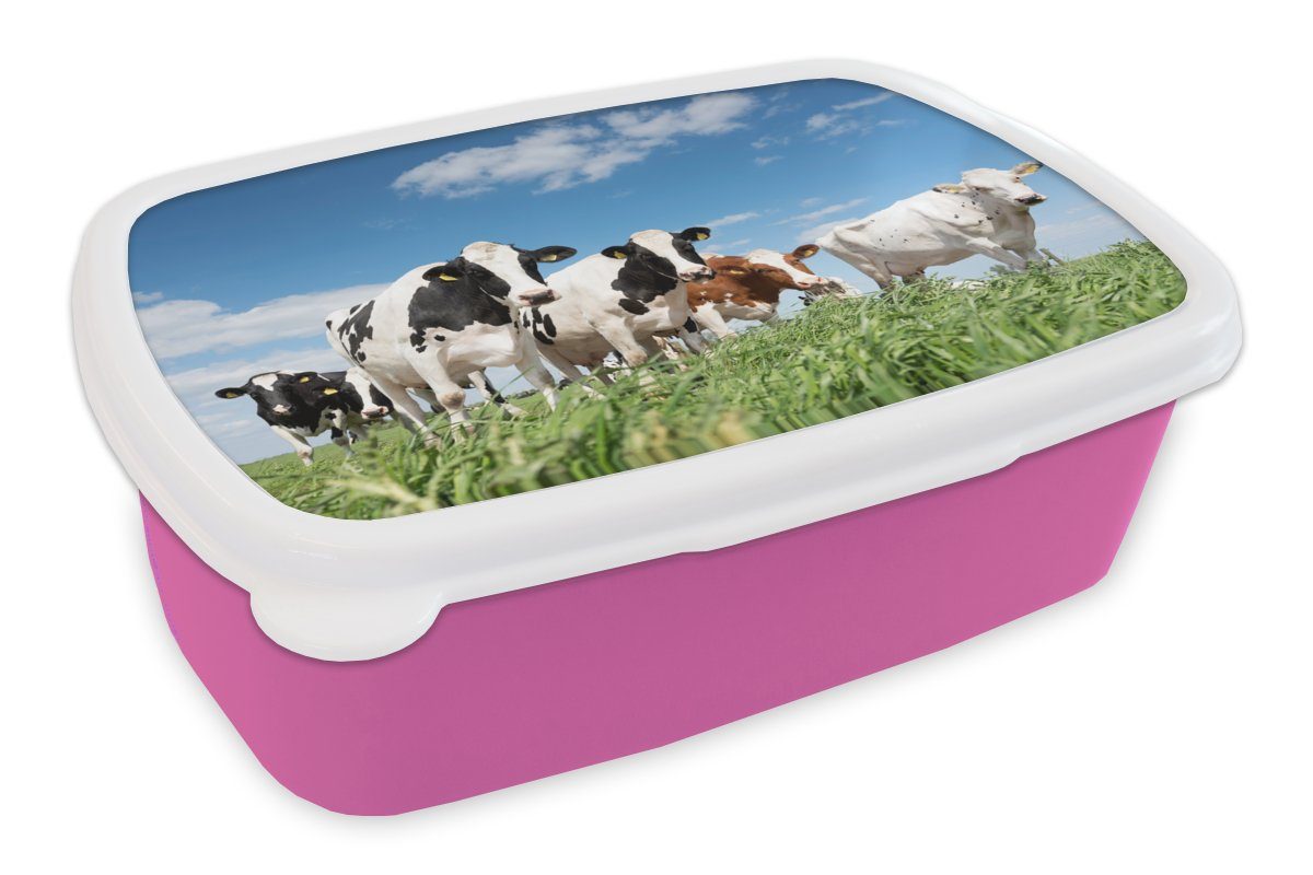 MuchoWow Lunchbox Kühe - Landleben - Weide - Natur - Tiere, Kunststoff, (2-tlg), Brotbox für Erwachsene, Brotdose Kinder, Snackbox, Mädchen, Kunststoff rosa