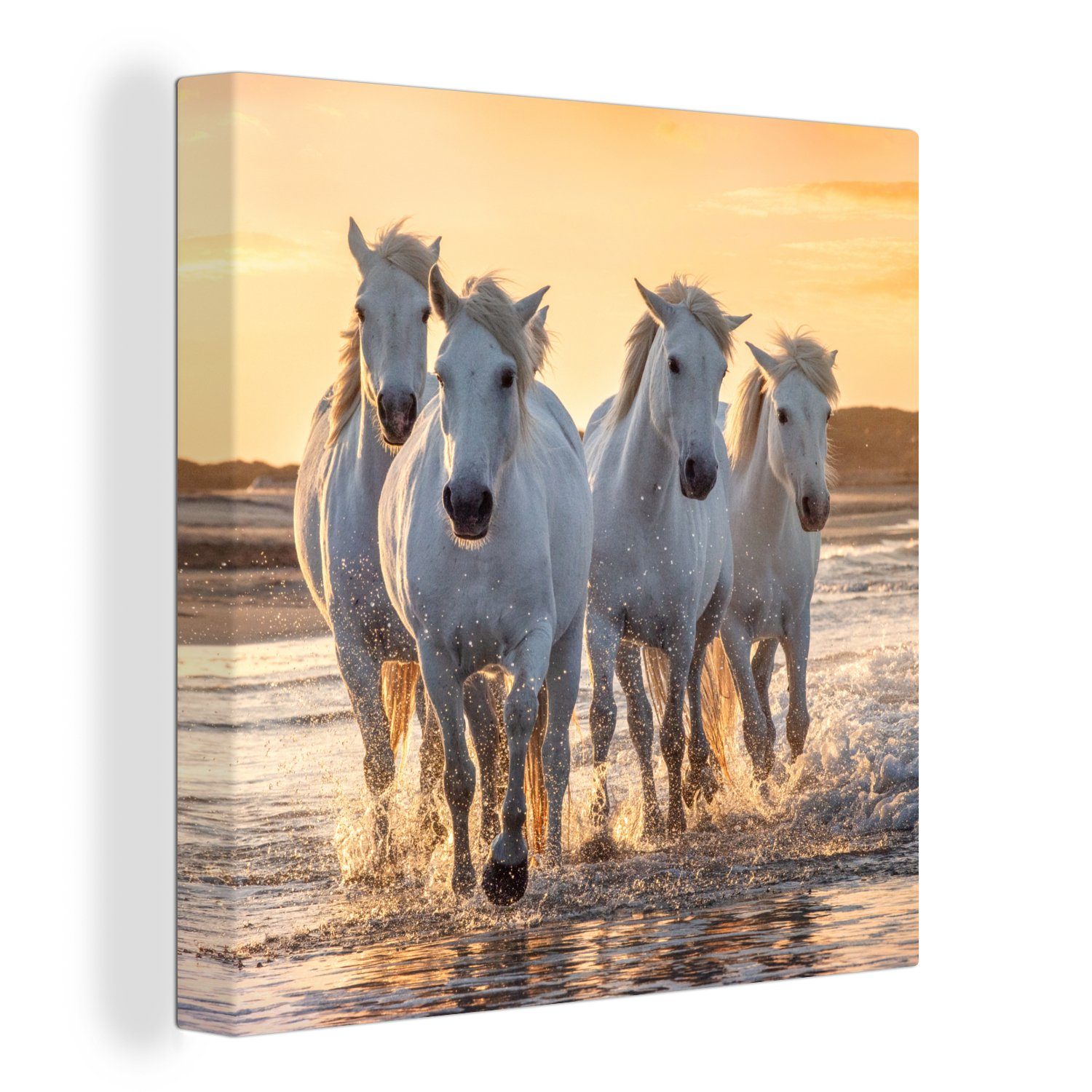 OneMillionCanvasses® Leinwandbild Pferde - Wasser - Strand - Tiere, (1 St), Leinwand Bilder für Wohnzimmer Schlafzimmer