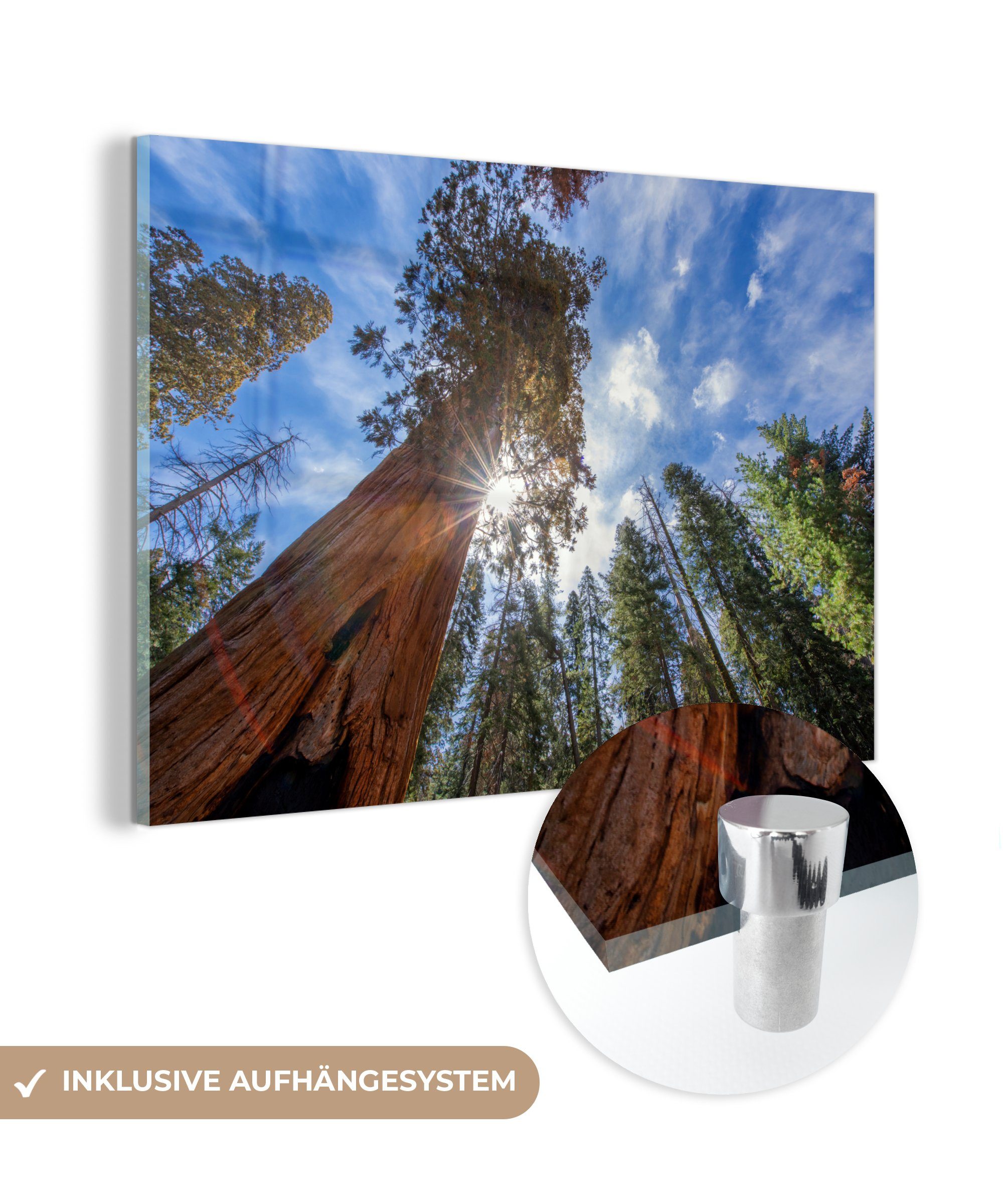 Bäume (1 Sequoia-Nationalpark Schlafzimmer in St), im Acrylglasbilder Wohnzimmer Nordamerika, MuchoWow Acrylglasbild &