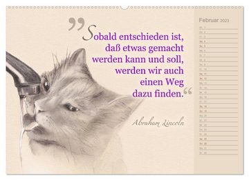 CALVENDO Wandkalender Von Katzen lernen (Premium, hochwertiger DIN A2 Wandkalender 2023, Kunstdruck in Hochglanz)