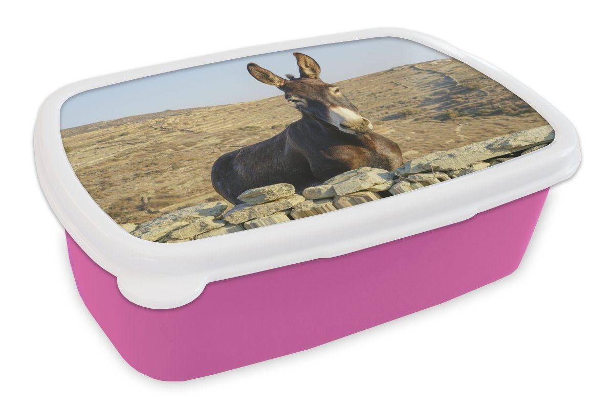 Brotdose MuchoWow für Kinder, Erwachsene, Esel hinter Kunststoff, Brotbox Snackbox, Steinen, Kunststoff Mädchen, (2-tlg), den Lunchbox rosa