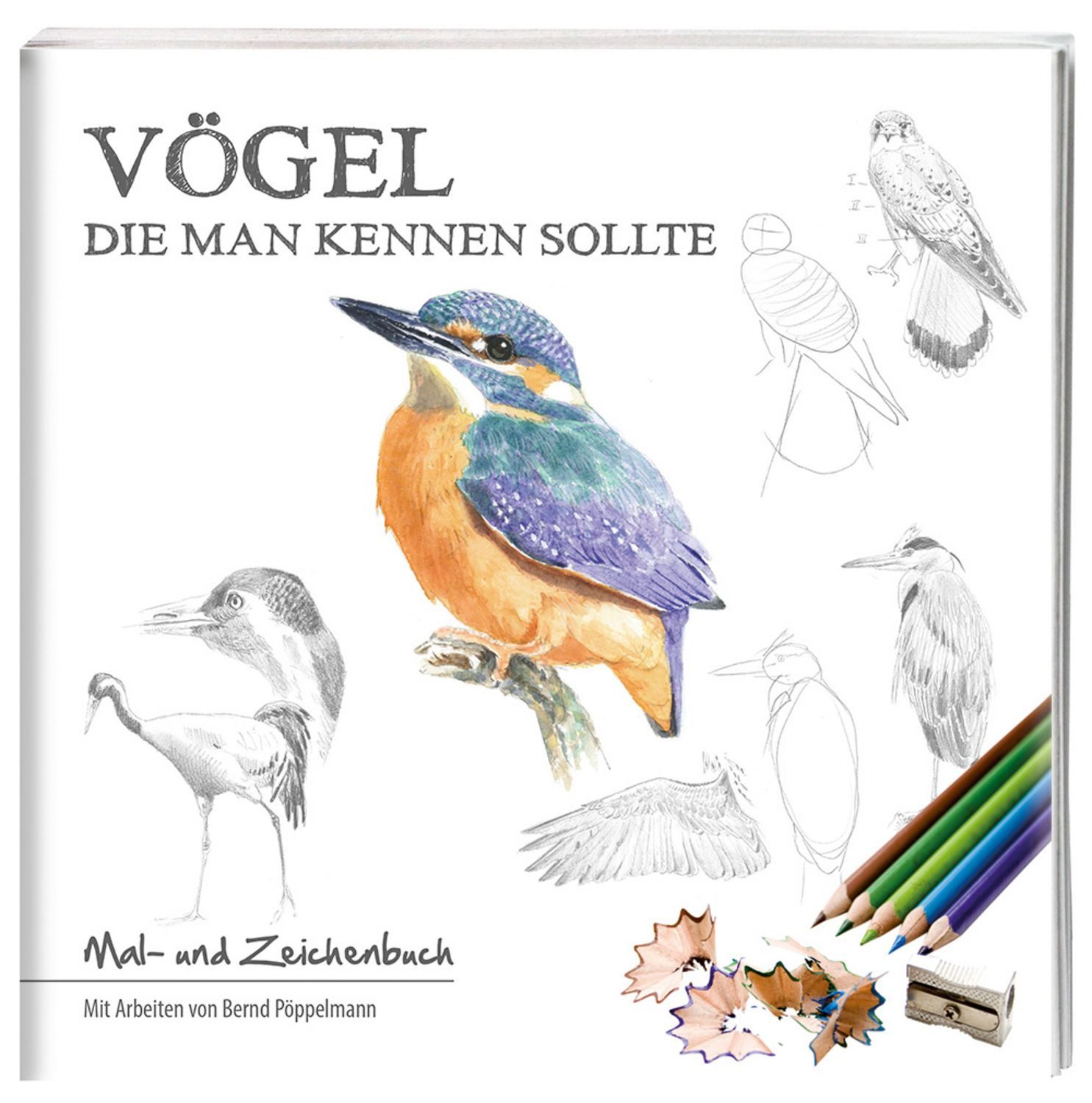 Vögel, die man kennen sollte / Bernd Pöppelmann