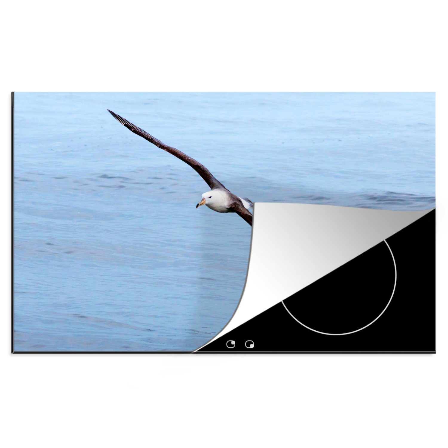 MuchoWow Herdblende-/Abdeckplatte Albatros - Meer - Schwarz, Vinyl, (1 tlg), 81x52 cm, Induktionskochfeld Schutz für die küche, Ceranfeldabdeckung