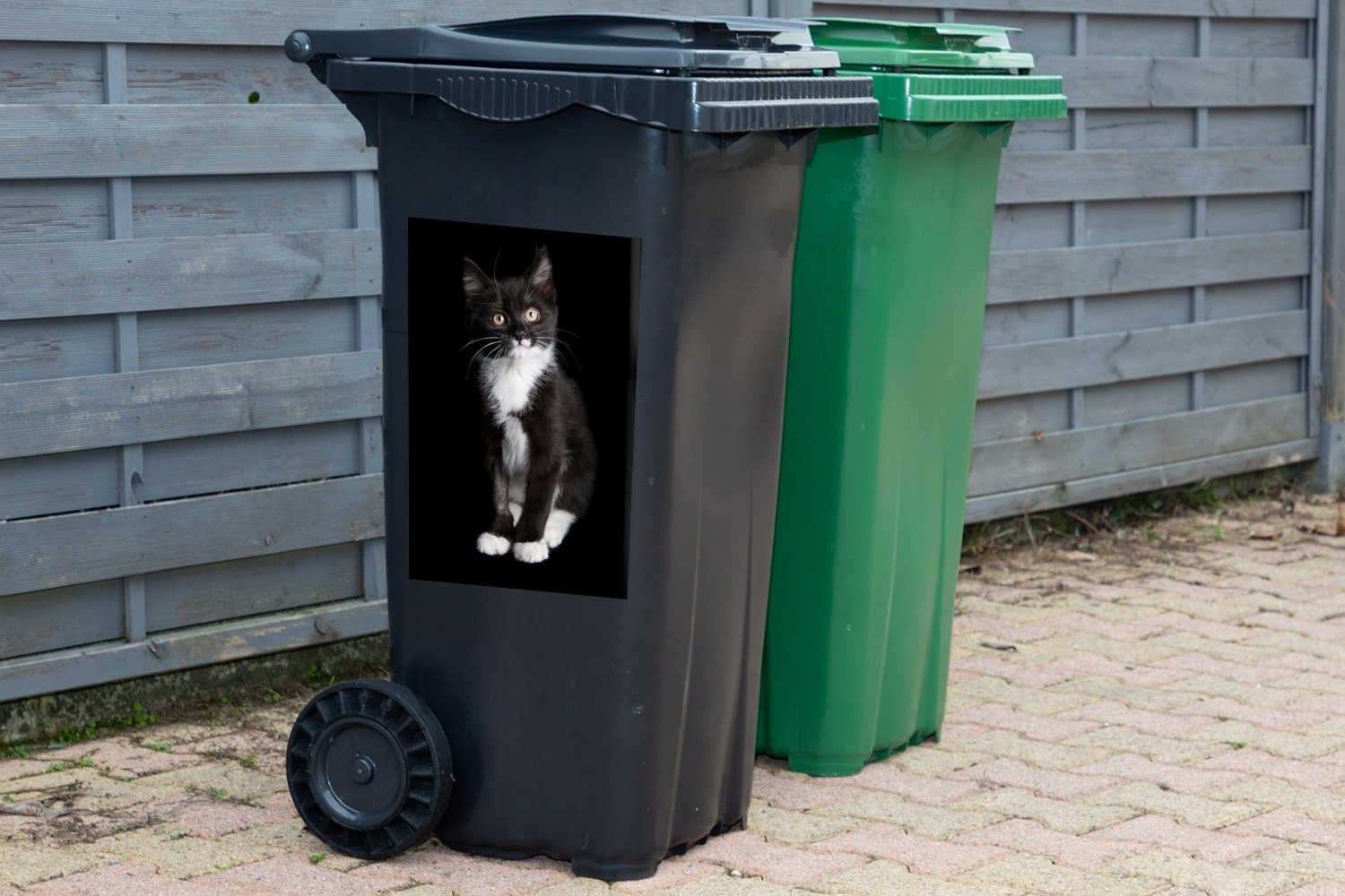 Katze Abfalbehälter St), Container, und Wandsticker MuchoWow Sticker, Mülleimer-aufkleber, schwarzem Mülltonne, (1 weiße auf Schwarze Hintergrund