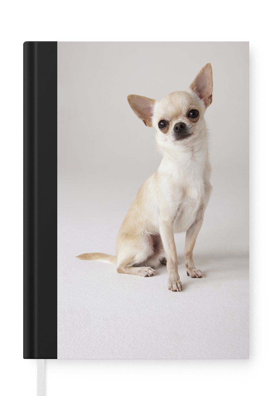 MuchoWow Notizbuch Porträt eines sitzenden weißen Chihuahuas, Journal, Merkzettel, Tagebuch, Notizheft, A5, 98 Seiten, Haushaltsbuch