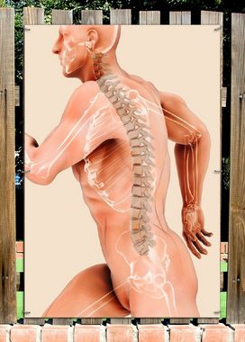 Wallario Sichtschutzzaunmatten Anatomie Wirbelsäule - Menschliches Skelett beim Laufen