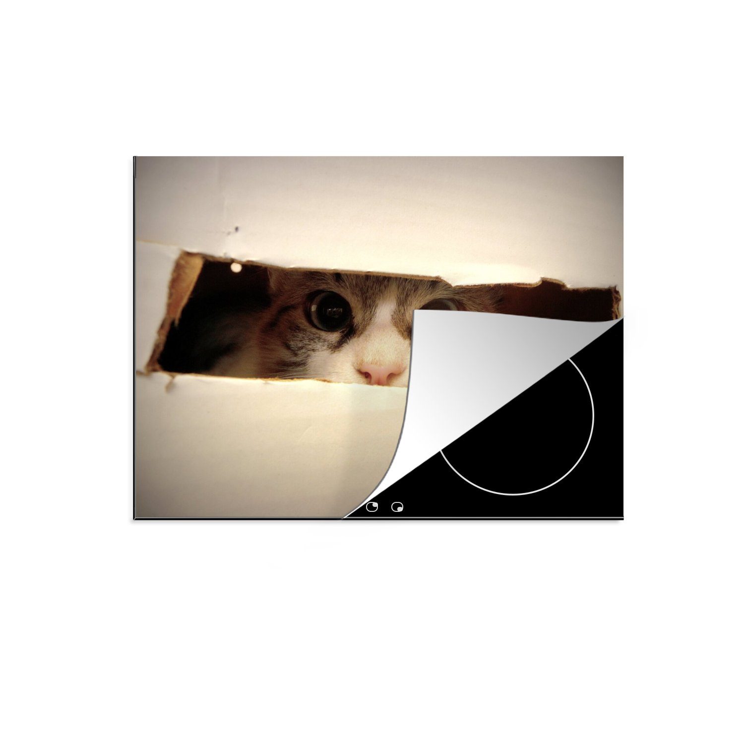 MuchoWow Herdblende-/Abdeckplatte Spionierende Katze, Vinyl, (1 tlg), 70x52 cm, Mobile Arbeitsfläche nutzbar, Ceranfeldabdeckung