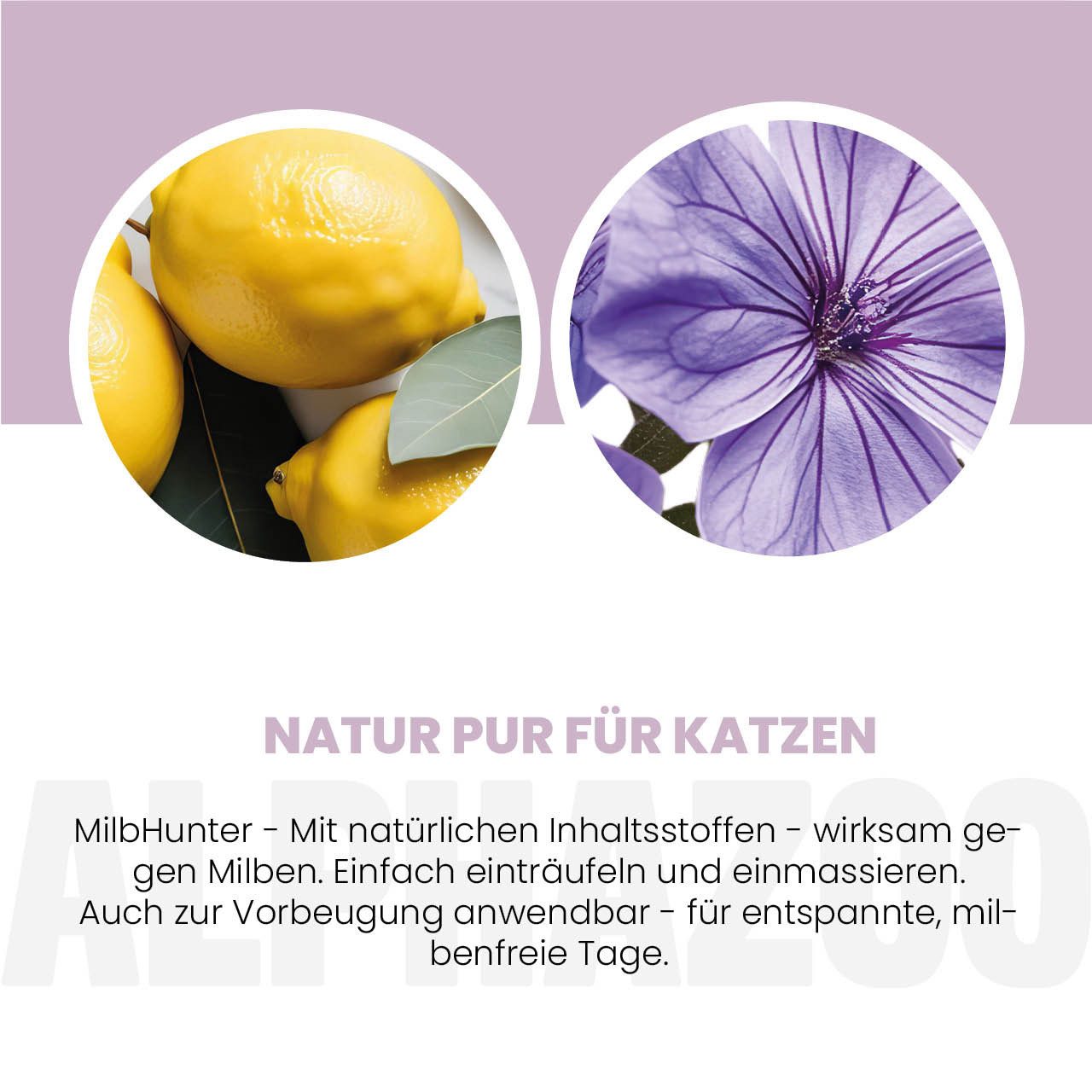 ALPHAZOO Milbenspray MilbHunter Spot-On für Katzen 100 ml, 100 ml, 1-St., Einfach gegen Milben und Grasmilben – Bild 4 von 5