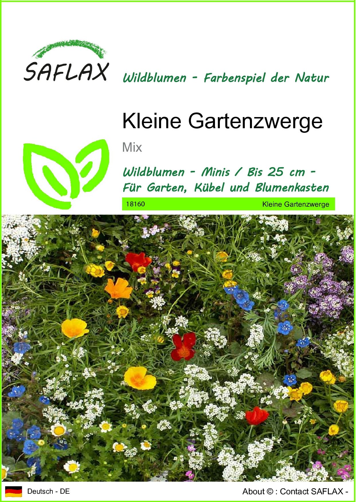 SAFLAX Blumensamen SAFLAX - Samen - Kleine Gartenzwerge