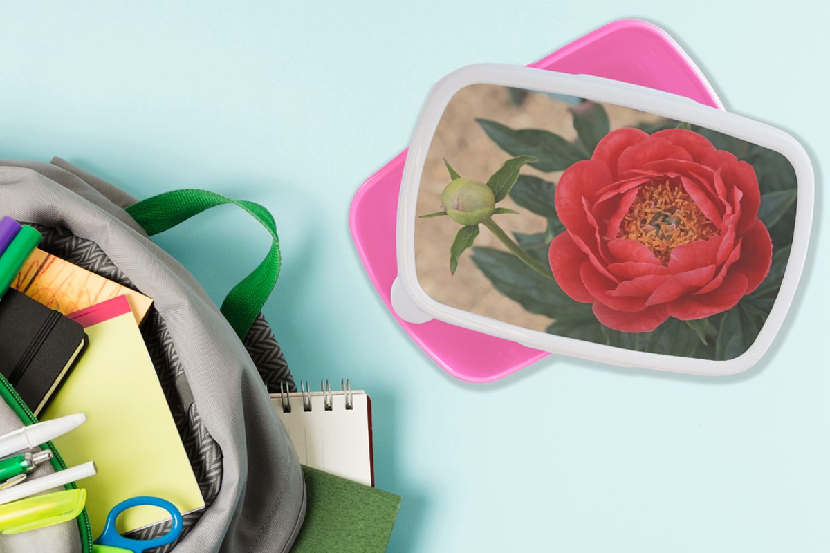 Lunchbox Kunststoff, Eine und rote rosa (2-tlg), MuchoWow Erwachsene, für Knospe, eine Mädchen, Snackbox, Kinder, Brotbox Kunststoff Brotdose Pfingstrose