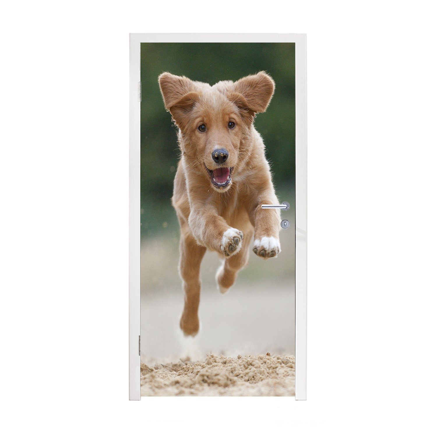 (1 Türtapete Laufender Hund Tür, St), Foto, bedruckt, MuchoWow Türaufkleber, Matt, cm für 75x205 Fototapete