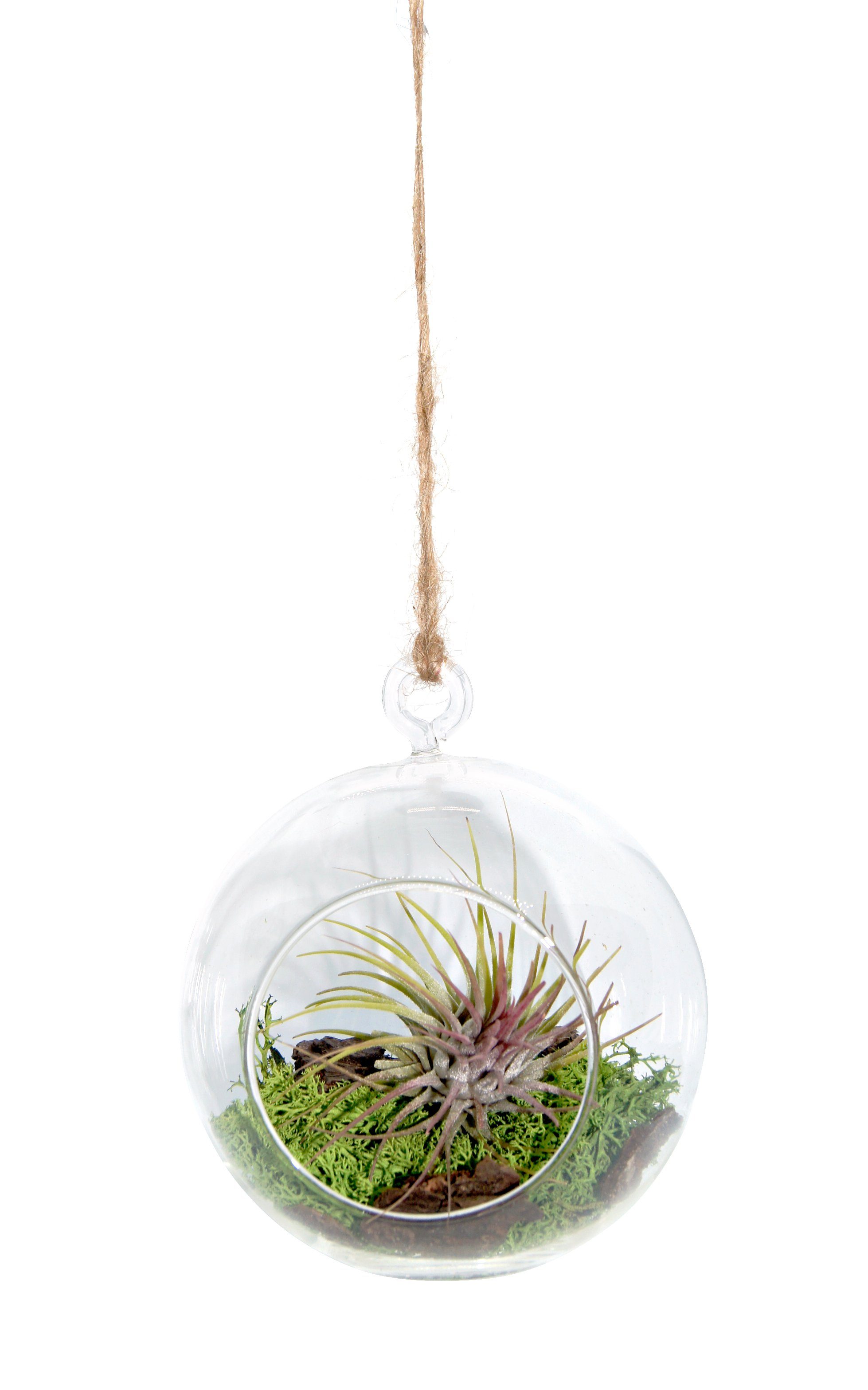 meinvipshop Hängedekoration Miniaturgarten im Glas zum aufhängen 12cm "handmade" (1 St)