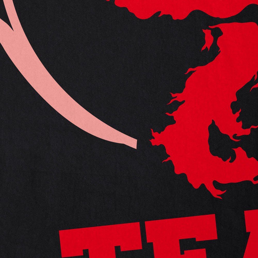 style3 T-Shirt Team Valor pokemon go günstig online kaufen
