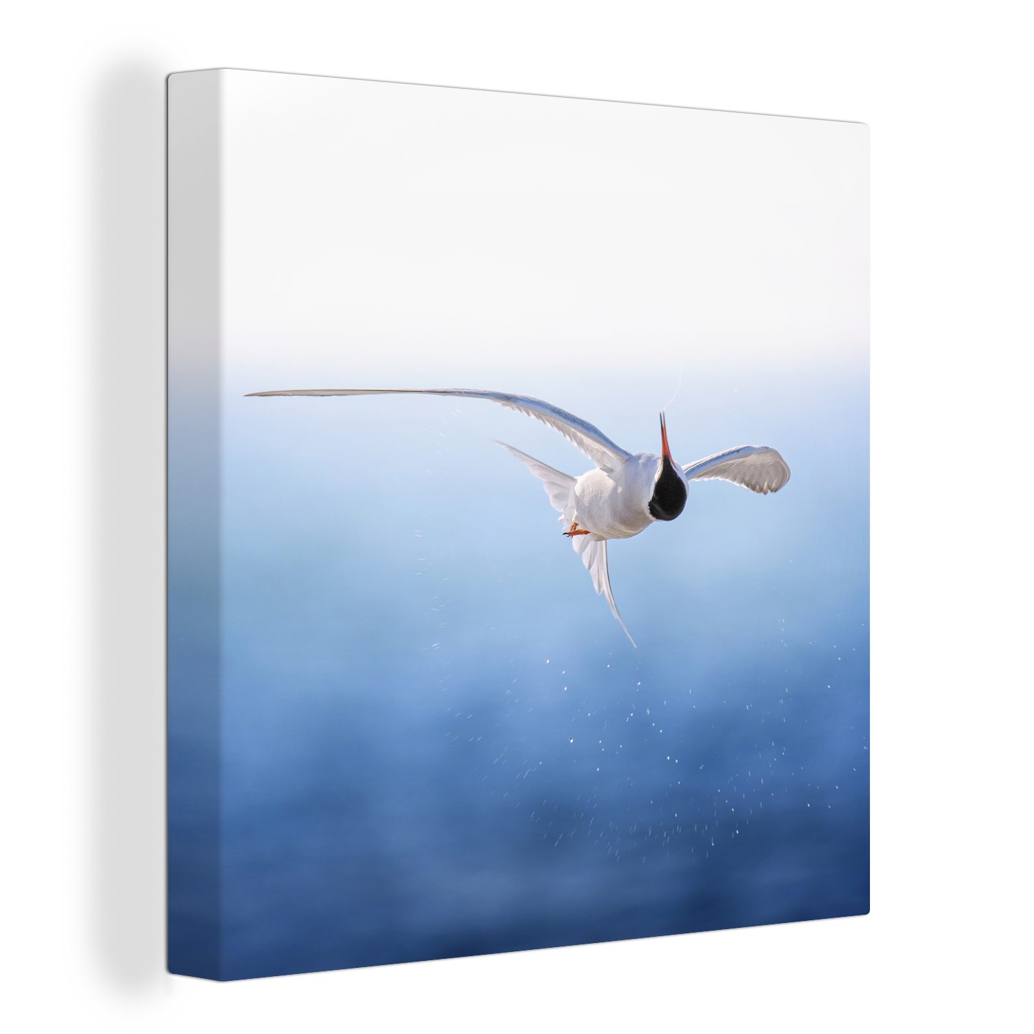 OneMillionCanvasses® Leinwandbild Vogel - Blau - Meer, (1 St), Leinwand Bilder für Wohnzimmer Schlafzimmer