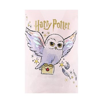 Harry Potter Schlafanzug Hedwig (2 tlg) Mädchen Pyjama Set kurz Gr. 98-128 cm