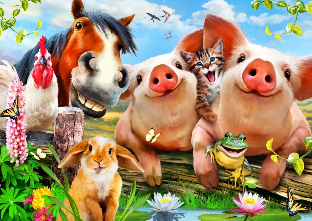 Bluebird Puzzle Puzzle Petting Farm, Puzzleteile