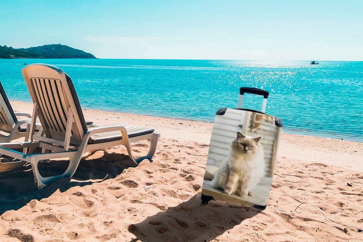 MuchoWow Handgepäckkoffer Ragdoll-Katze an rollen, Ferien, Handgepäck Luft, mit Rollen, 4 Trolley, frischen Reisetasche der für Reisekoffer