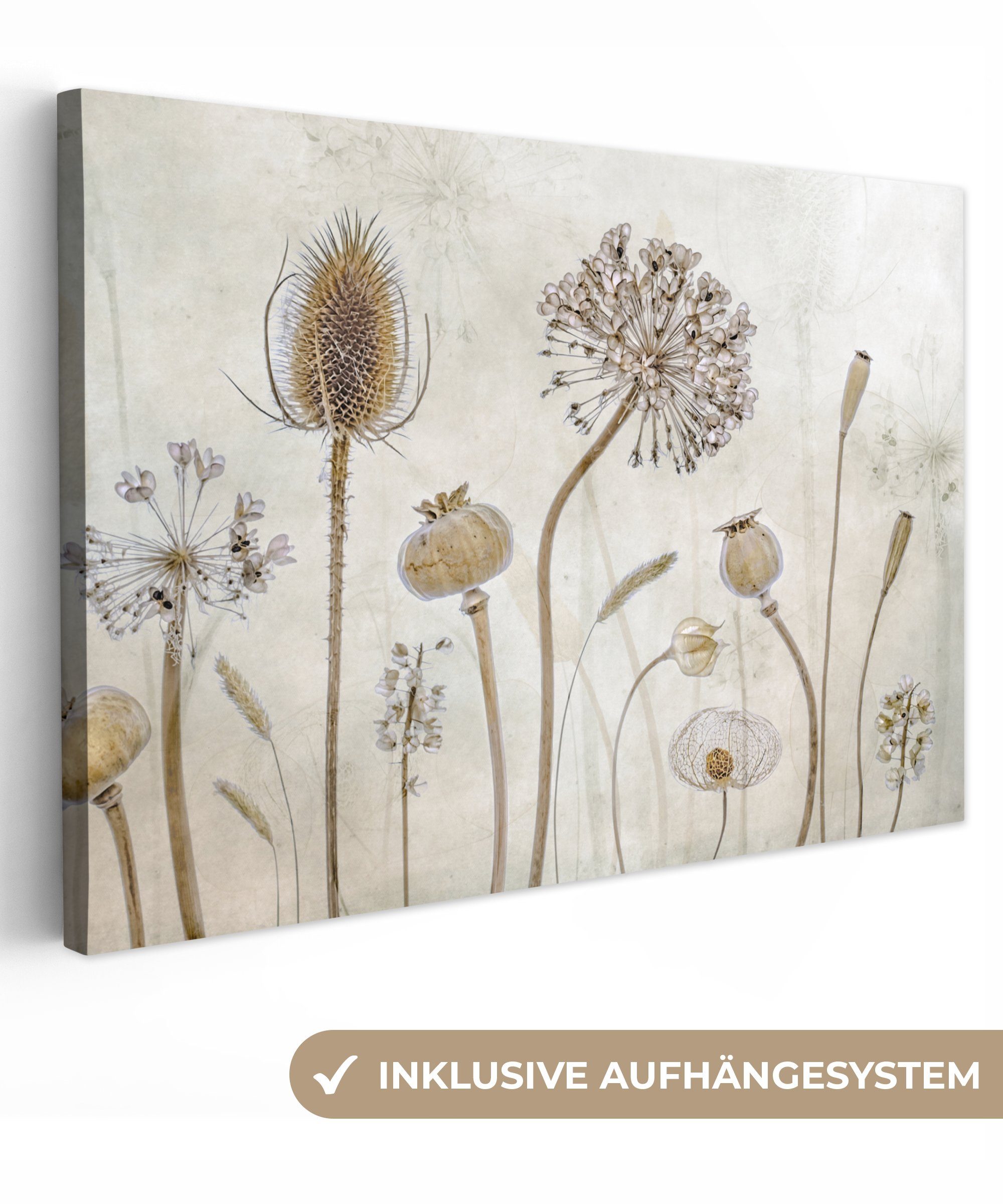 OneMillionCanvasses® Leinwandbild Blumen - Aquarell - Stilleben - Braun - V günstig online kaufen