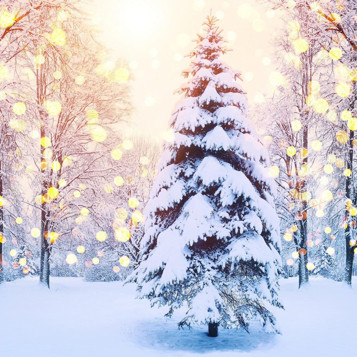 Wallario Möbelfolie Winterzauber im Lichterglanz