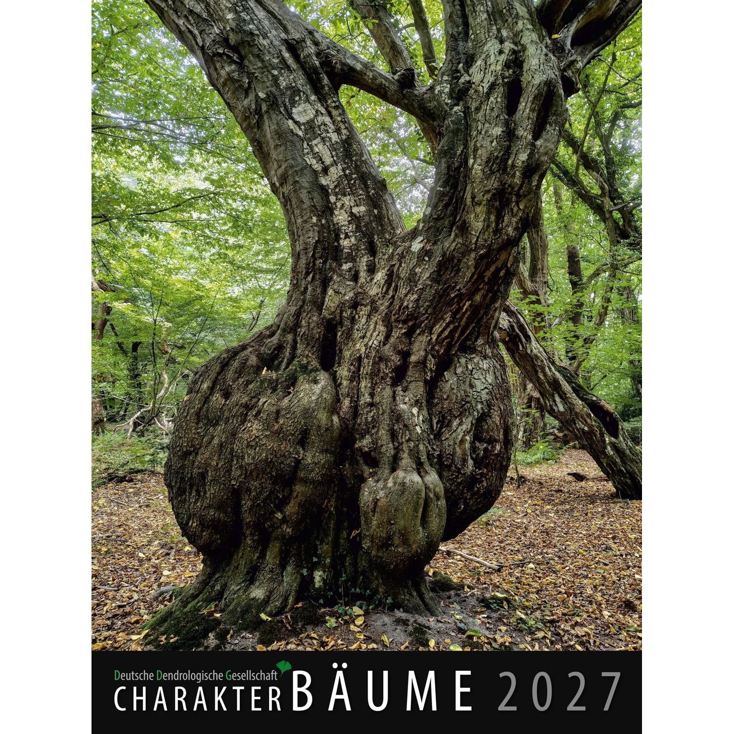 Meyer & Meyer Verlag Wandkalender Charakter-Bäume 2027