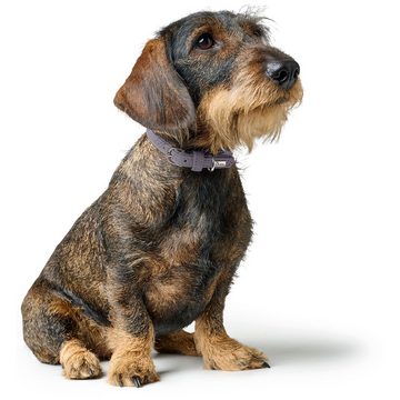 Hunter Tierbedarf Hunde-Halsband Soho Mini, Leder