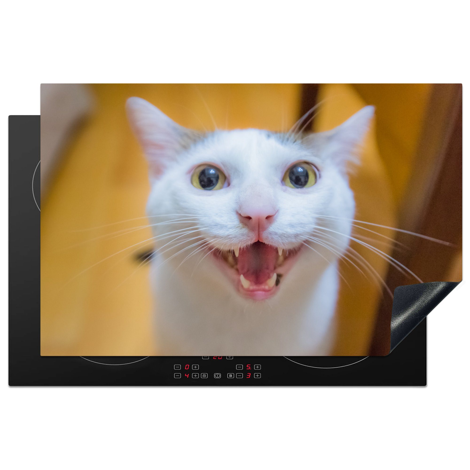 MuchoWow Herdblende-/Abdeckplatte Katze - Tier - Weiß, Vinyl, (1 tlg), 81x52 cm, Induktionskochfeld Schutz für die küche, Ceranfeldabdeckung