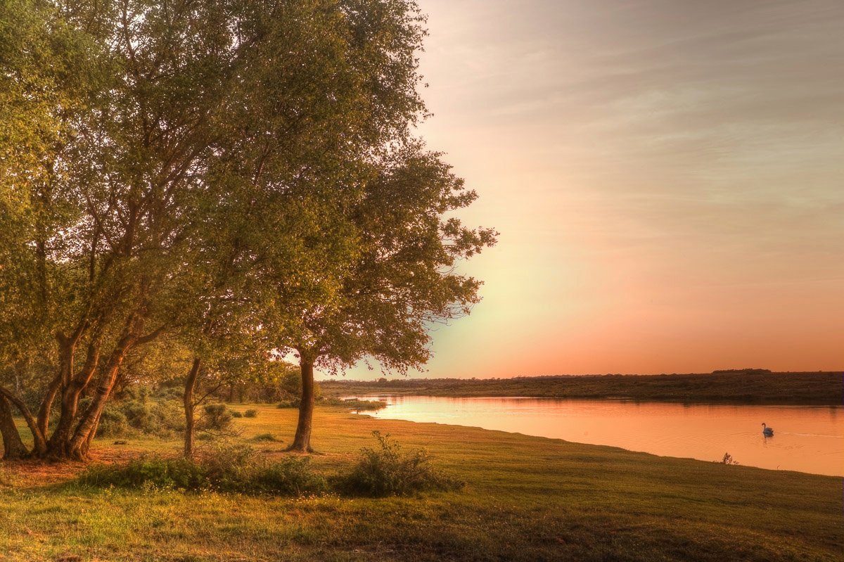 am Fototapete Fluss Papermoon Landschaft