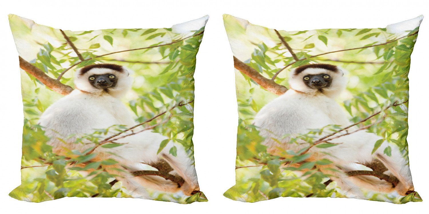 Kissenbezüge Modern (2 Larvensifaka Foto Digitaldruck, Wilde Abakuhaus Accent Lemur Stück), Doppelseitiger