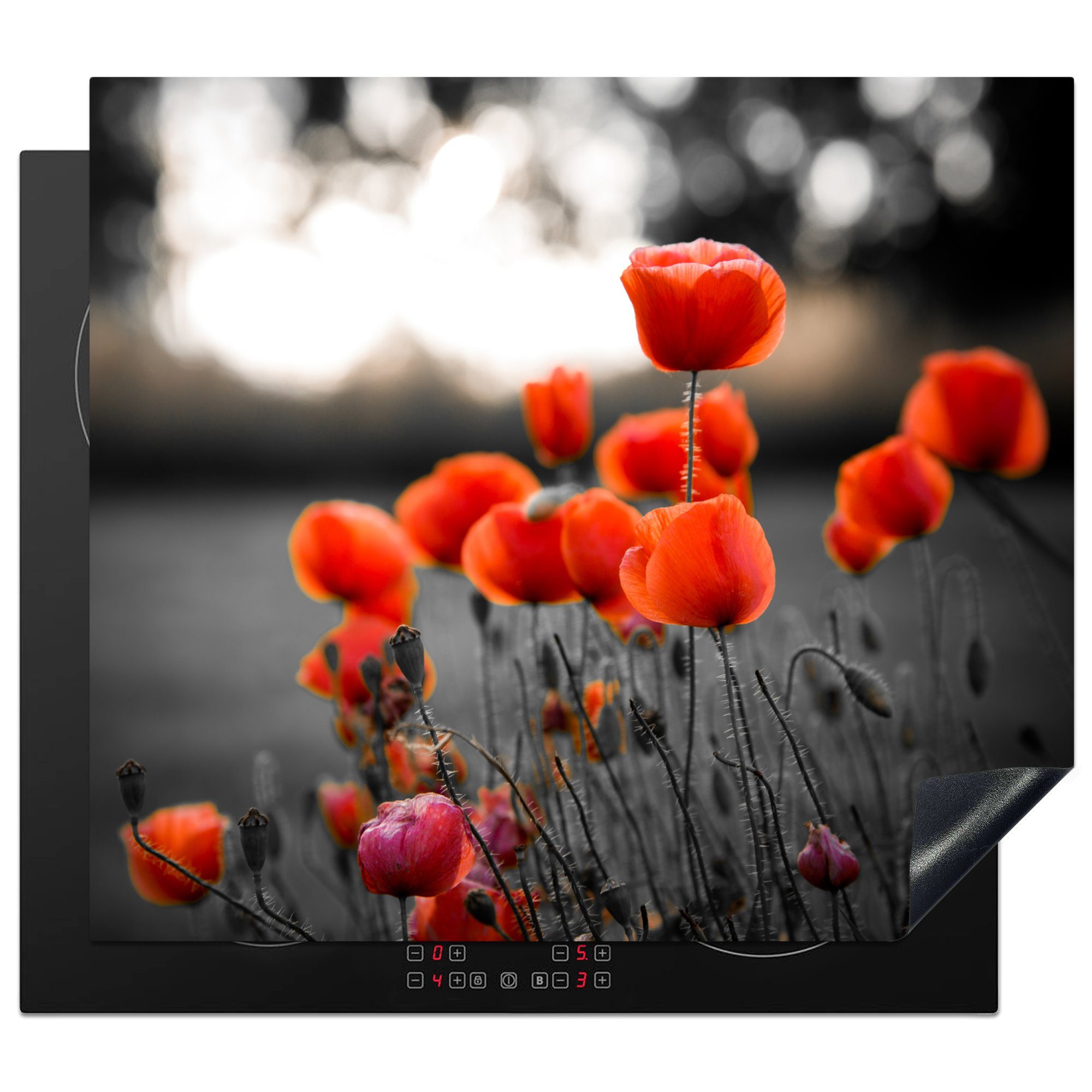 MuchoWow Herdblende-/Abdeckplatte Wilde rote Mohnblumen auf einem großen Feld mit schwarzem und weißem, Vinyl, (1 tlg), 60x52 cm, Mobile Arbeitsfläche nutzbar, Ceranfeldabdeckung