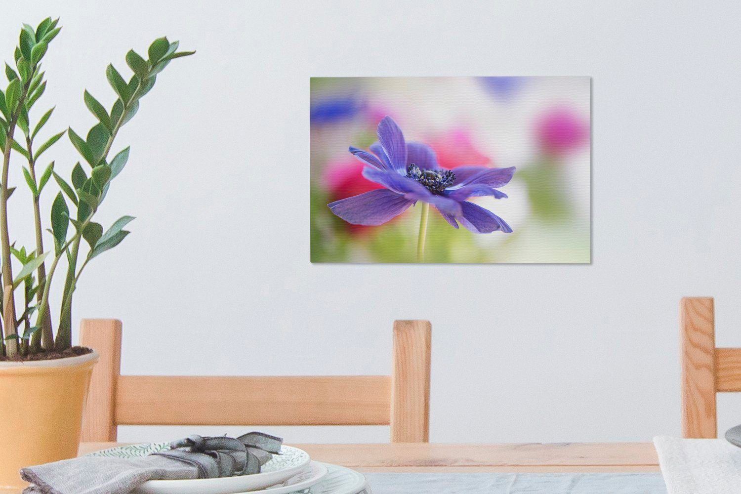 cm 30x20 Leinwandbilder, St), Violette Leinwandbild OneMillionCanvasses® Wandbild Wanddeko, Aufhängefertig, Anemone, (1