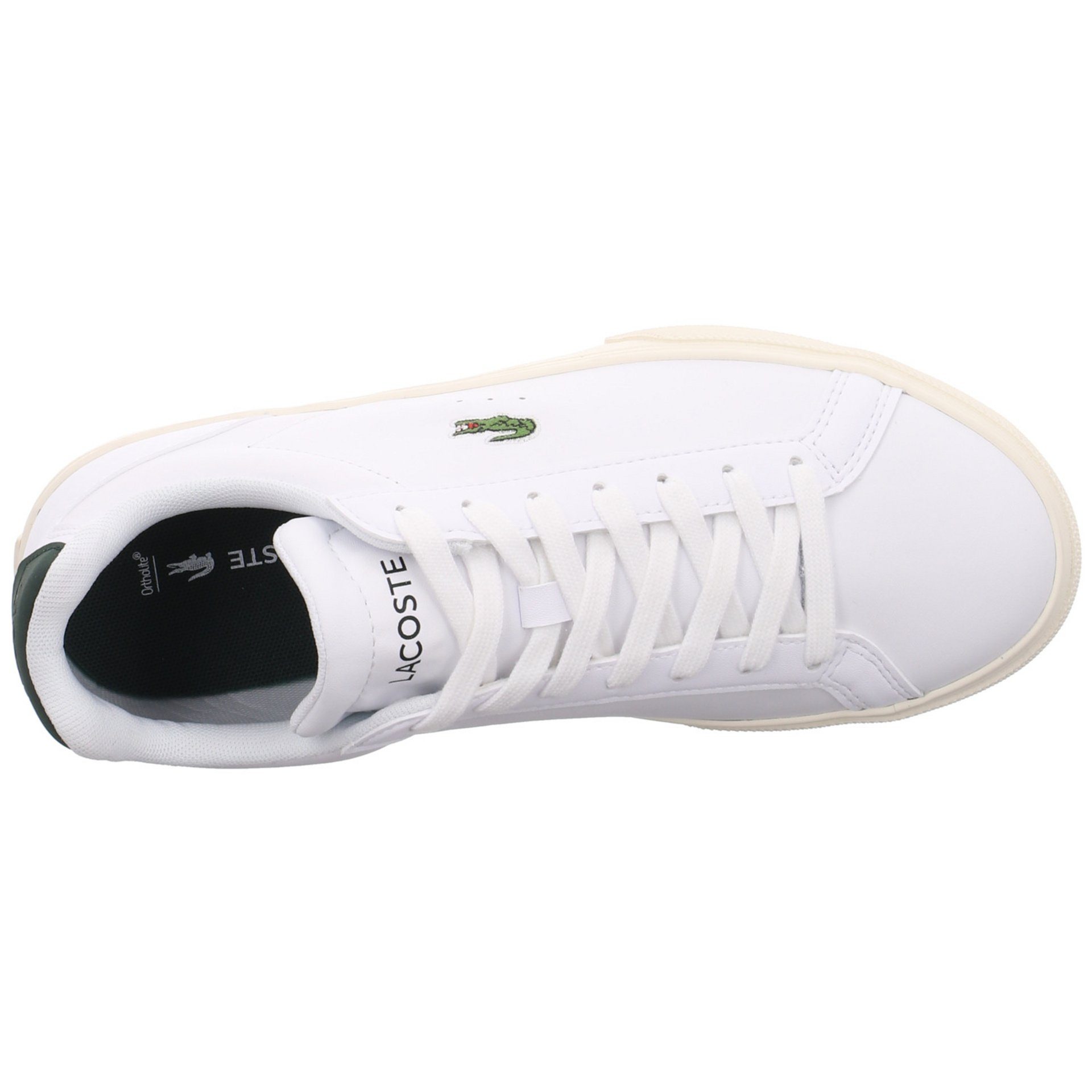 Damen Sneaker Lerond Schuhe Sneaker Sneaker Lacoste Lederkombination