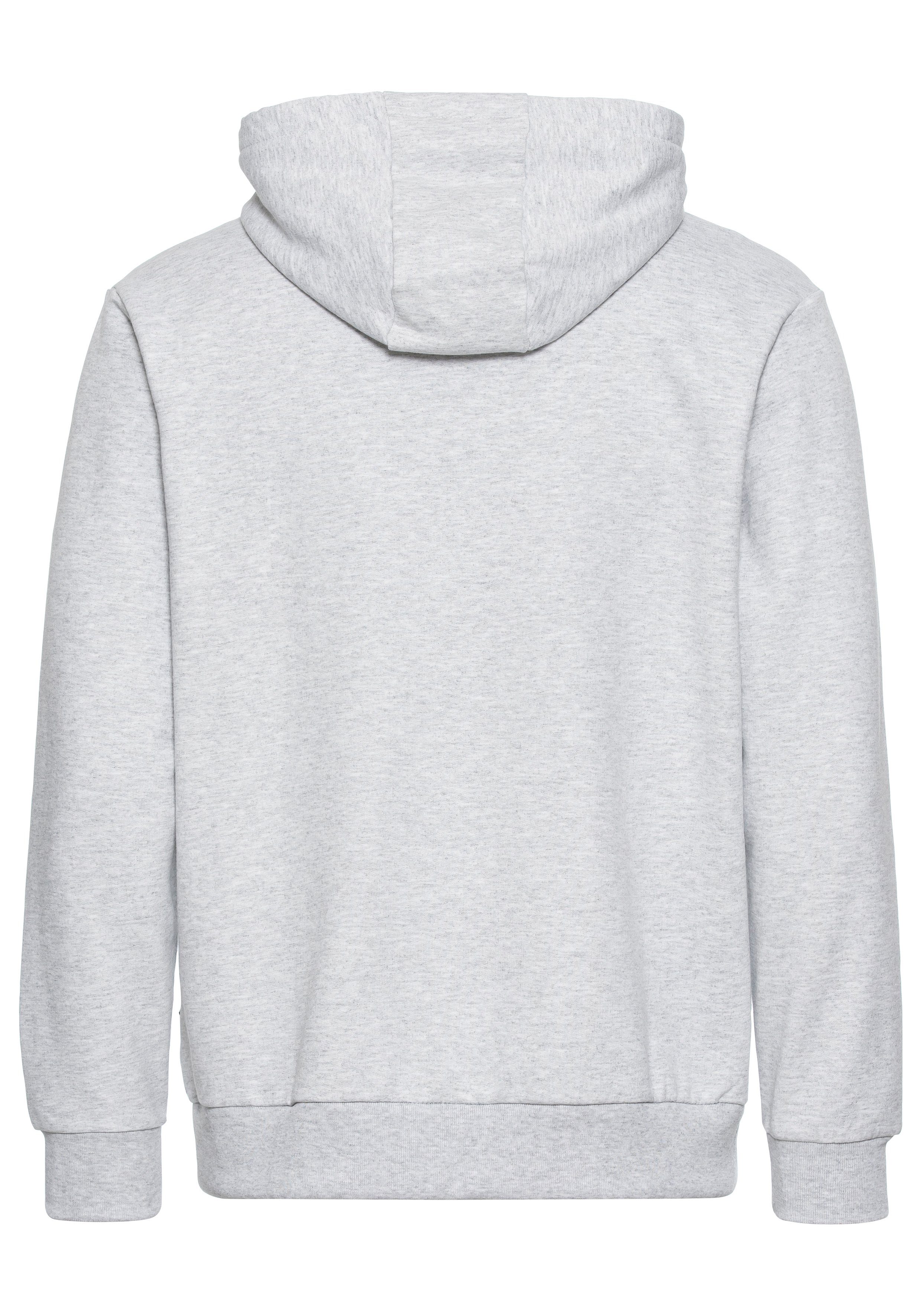 Vans Kapuzensweatshirt ESSENTIAL RELAXED PO günstig online kaufen