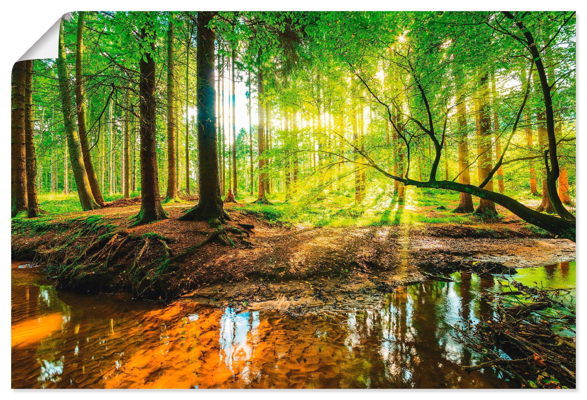 mit Wald Bach, Poster Artland Wandbild Wandaufkleber in Leinwandbild, Größen als versch. Wald Alubild, oder (1 St),