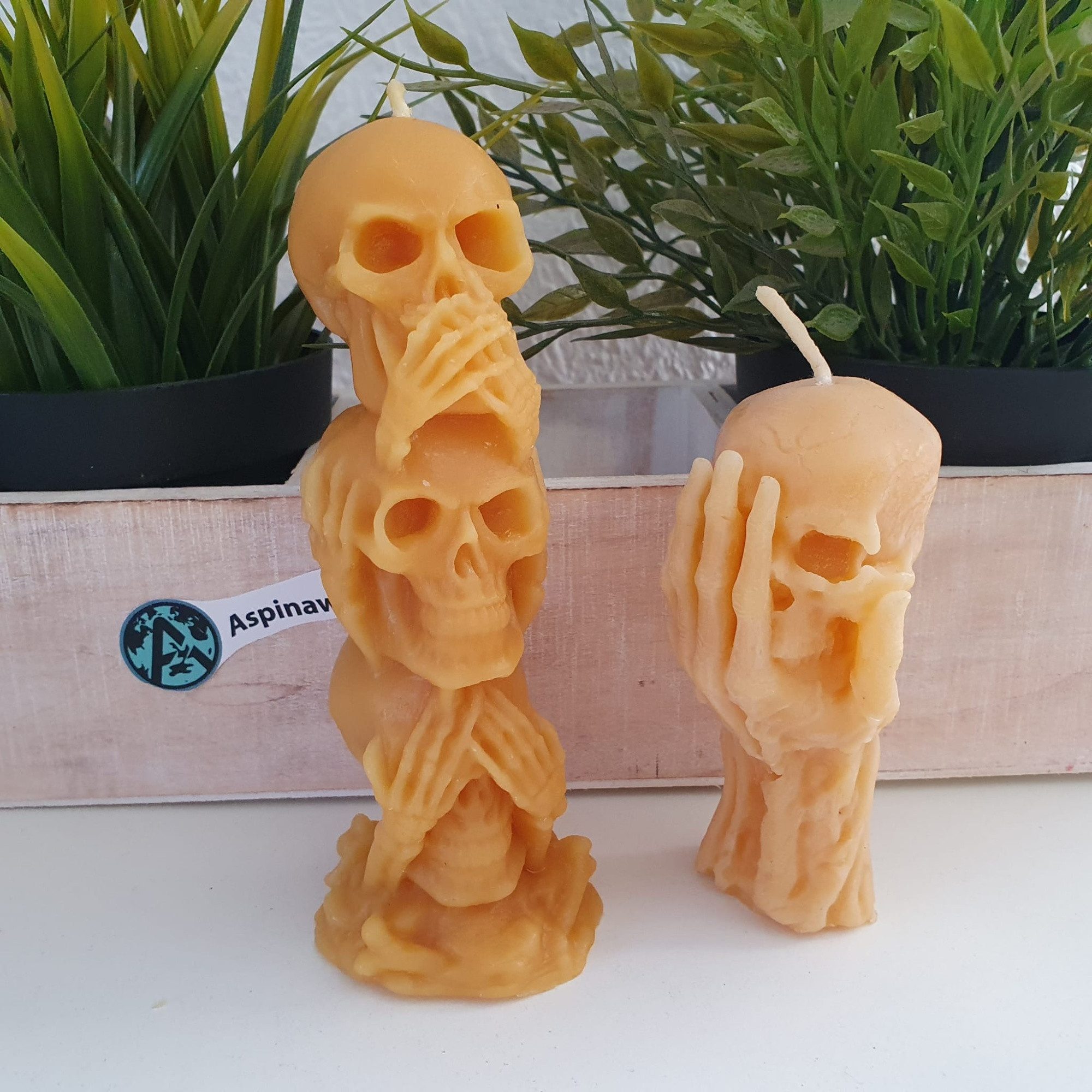 Aspinaworld Bienenwachskerze Bienenwachskerze - Totenkopf Kerzen günstig online kaufen