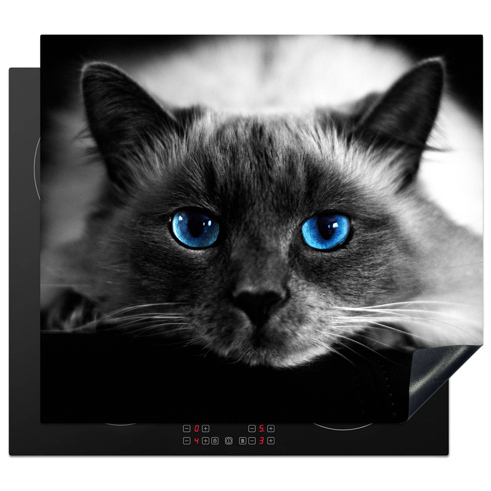 MuchoWow Herd-Abdeckplatte Katze - Augen - Grau - Blau, Vinyl, (1 tlg), Küche Herdabdeckplatte Ceranfeld Vinyl Einteilig, 59x52 cm