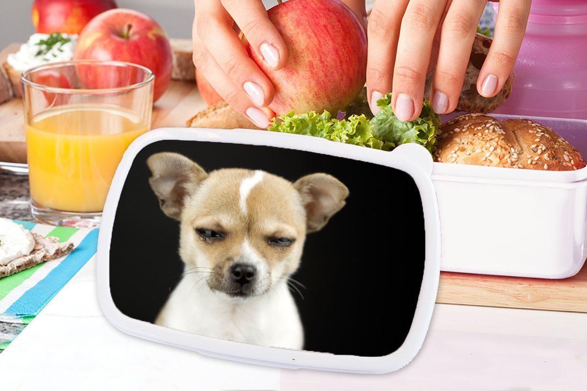 MuchoWow Lunchbox Hund - Haustiere weiß Mädchen Jungs Kunststoff, Erwachsene, für Kinder Brotdose, und Porträt, für (2-tlg), - und Brotbox