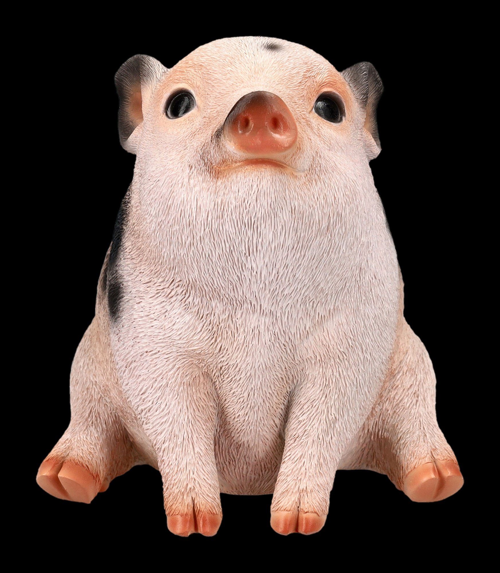 Ferkel Schweinchen Dekofigur Geflecktes Figur - Shop Tierfigur GmbH Tierfigur Figuren - Schweine Baby