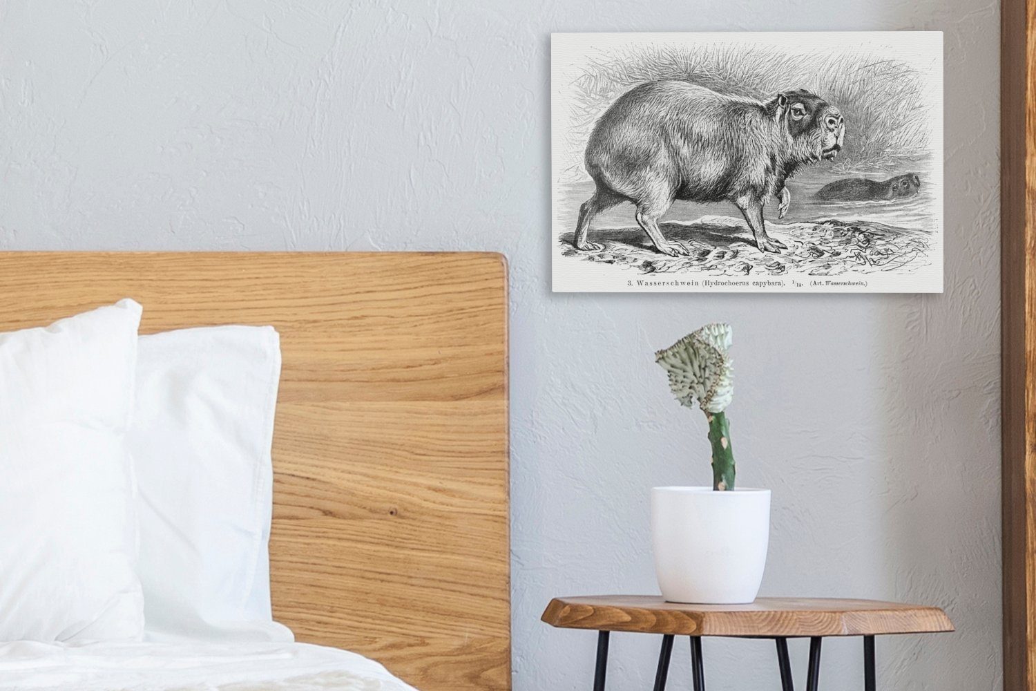 Eine Wasserschweins Illustration Leinwandbild eines 30x20 Aufhängefertig, OneMillionCanvasses® St), cm Schwarz-Weiß, Wanddeko, (1 in Leinwandbilder, Wandbild