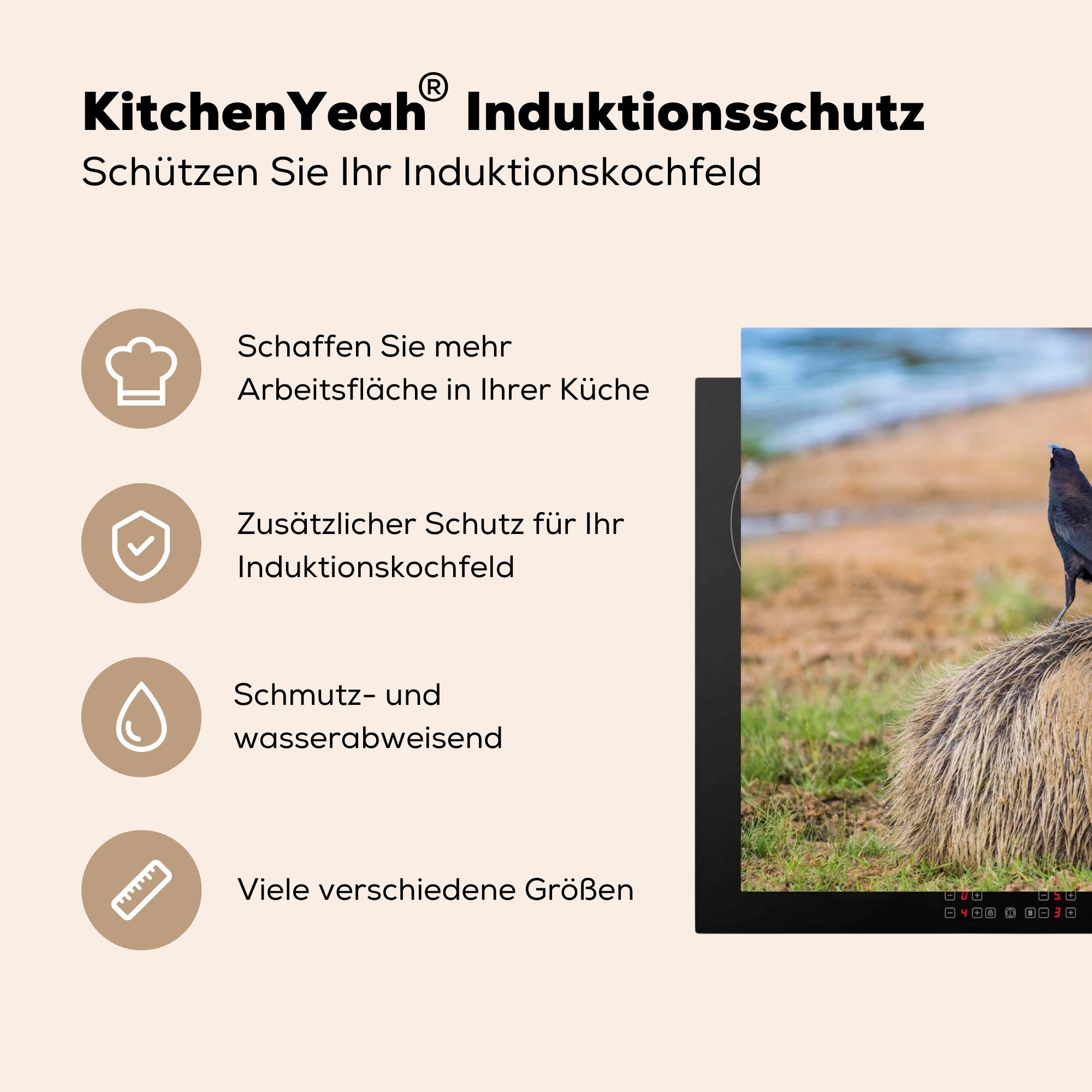 Vogel, Herdblende-/Abdeckplatte MuchoWow Induktionskochfeld (1 die für Schutz küche, mit Vinyl, tlg), cm, Ceranfeldabdeckung Capybara 81x52