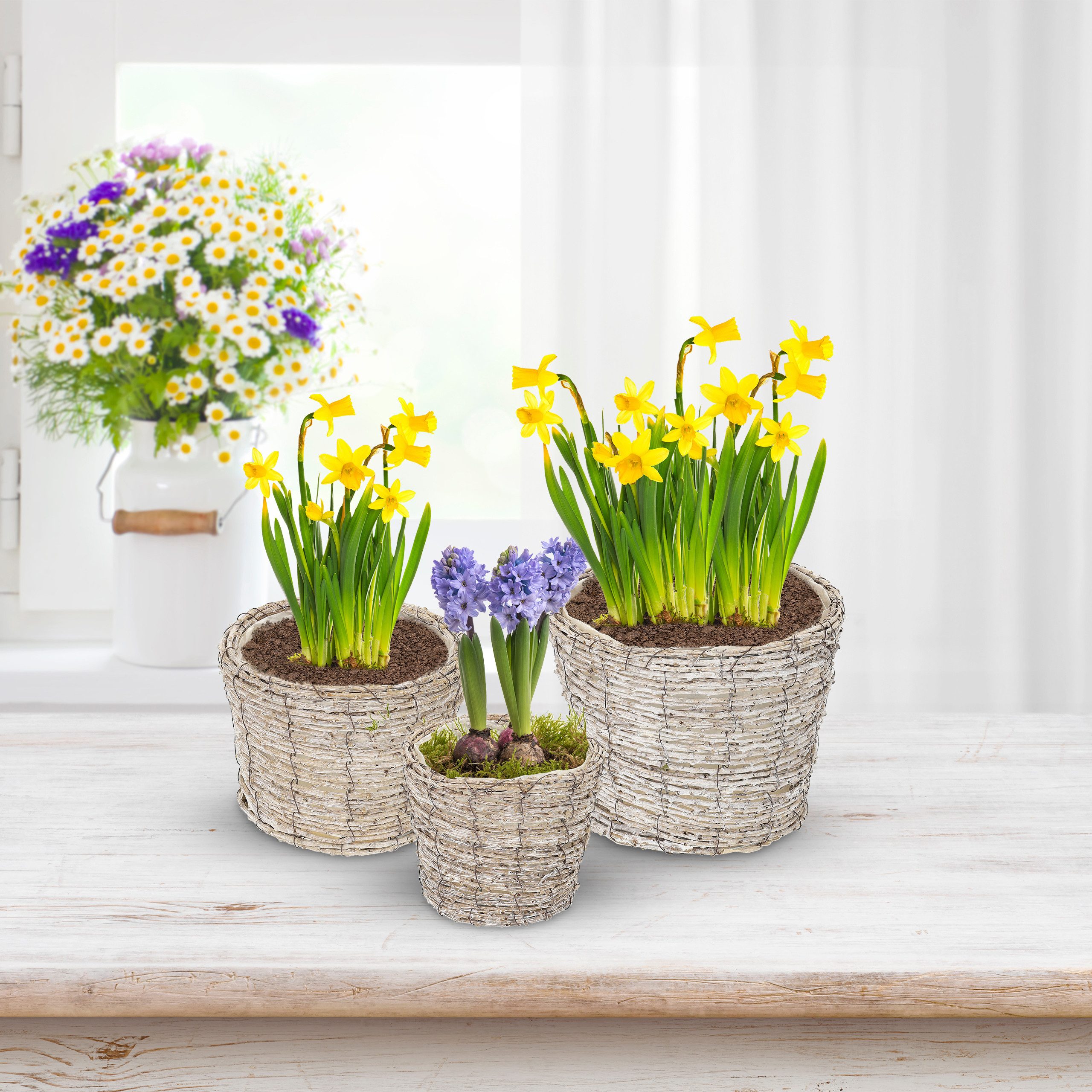 relaxdays Blumentopf Runder Blumentopf im 3er günstig online kaufen