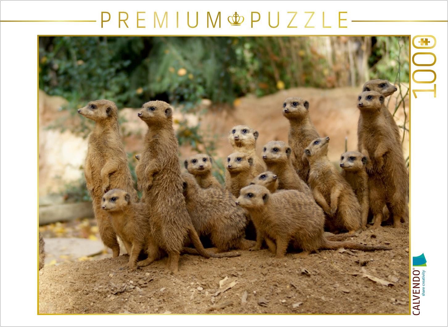 CALVENDO Puzzle CALVENDO Puzzle Ein Motiv aus dem Kalender Erdmännchen – Zusammen sind, 1000 Puzzleteile
