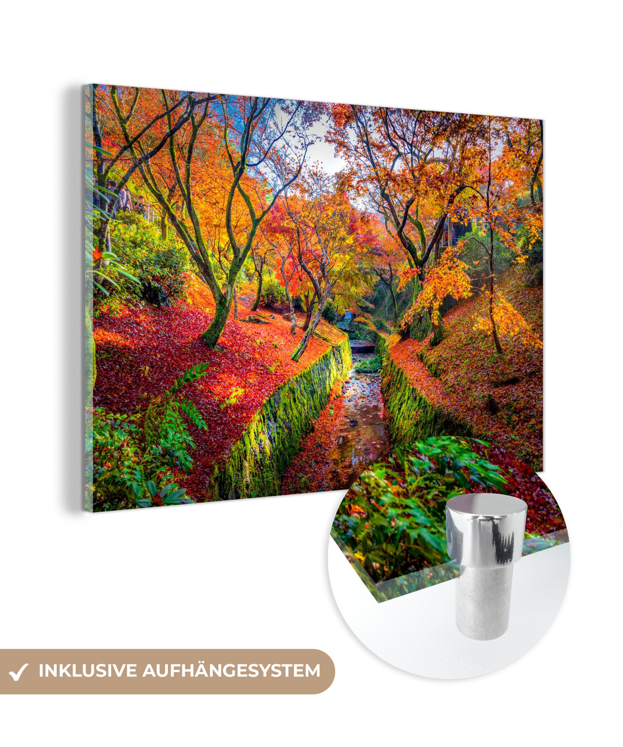 MuchoWow Acrylglasbild Blick auf die bunten Blätter der Ahornbäume, (1 St), Acrylglasbilder Wohnzimmer & Schlafzimmer