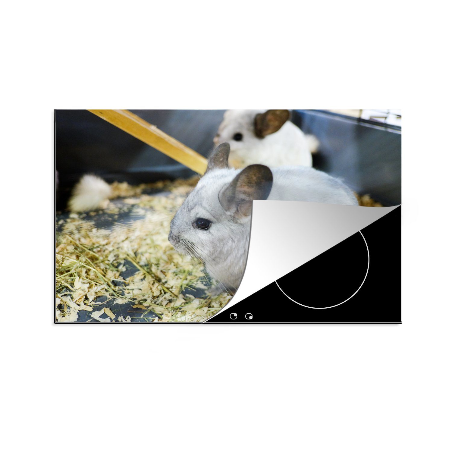 MuchoWow Herdblende-/Abdeckplatte Ein weiß-grau gefärbtes Chinchilla in einem Käfig, Vinyl, (1 tlg), 81x52 cm, Induktionskochfeld Schutz für die küche, Ceranfeldabdeckung