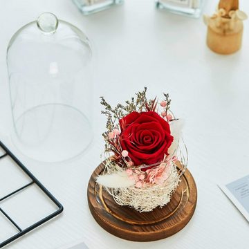 Kunstblume Ewige Rose im Glas mit Licht für Mädchen, AKKEE, Höhe 18 cm, für Valentinstag, Hochzeit, Muttertag, Geburtstag