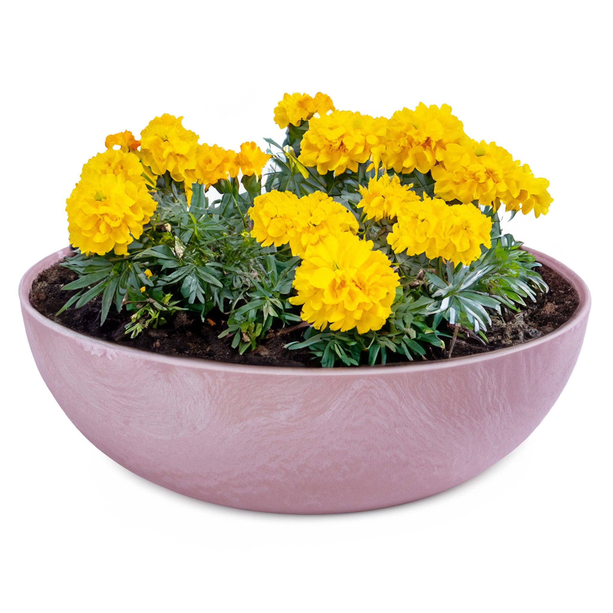 matches21 HOME & HOBBY Blumentopf Runde günstig online kaufen