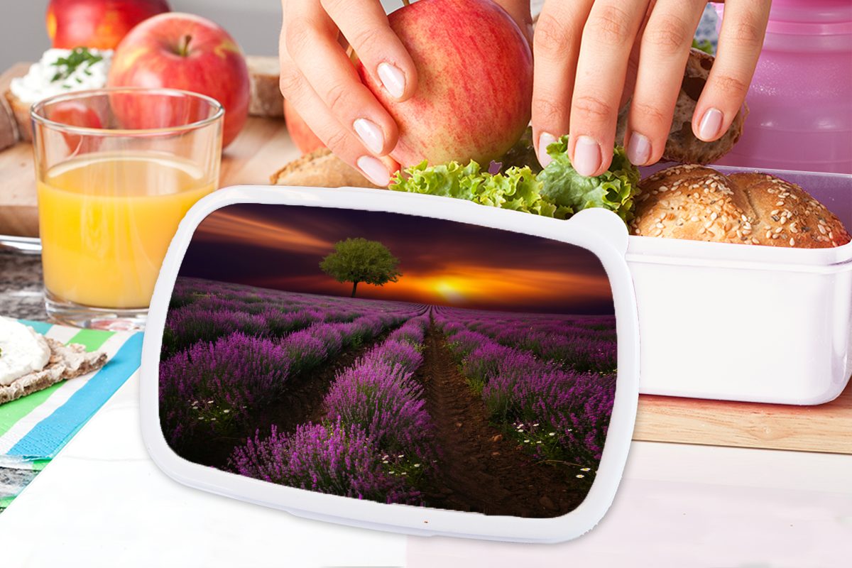MuchoWow Lunchbox Schönes Lavendelfeld und (2-tlg), weiß Erwachsene, in für Kinder Mädchen Sonnenuntergang, Jungs einer Brotdose, Kunststoff, für und Brotbox dunklen Nacht mit