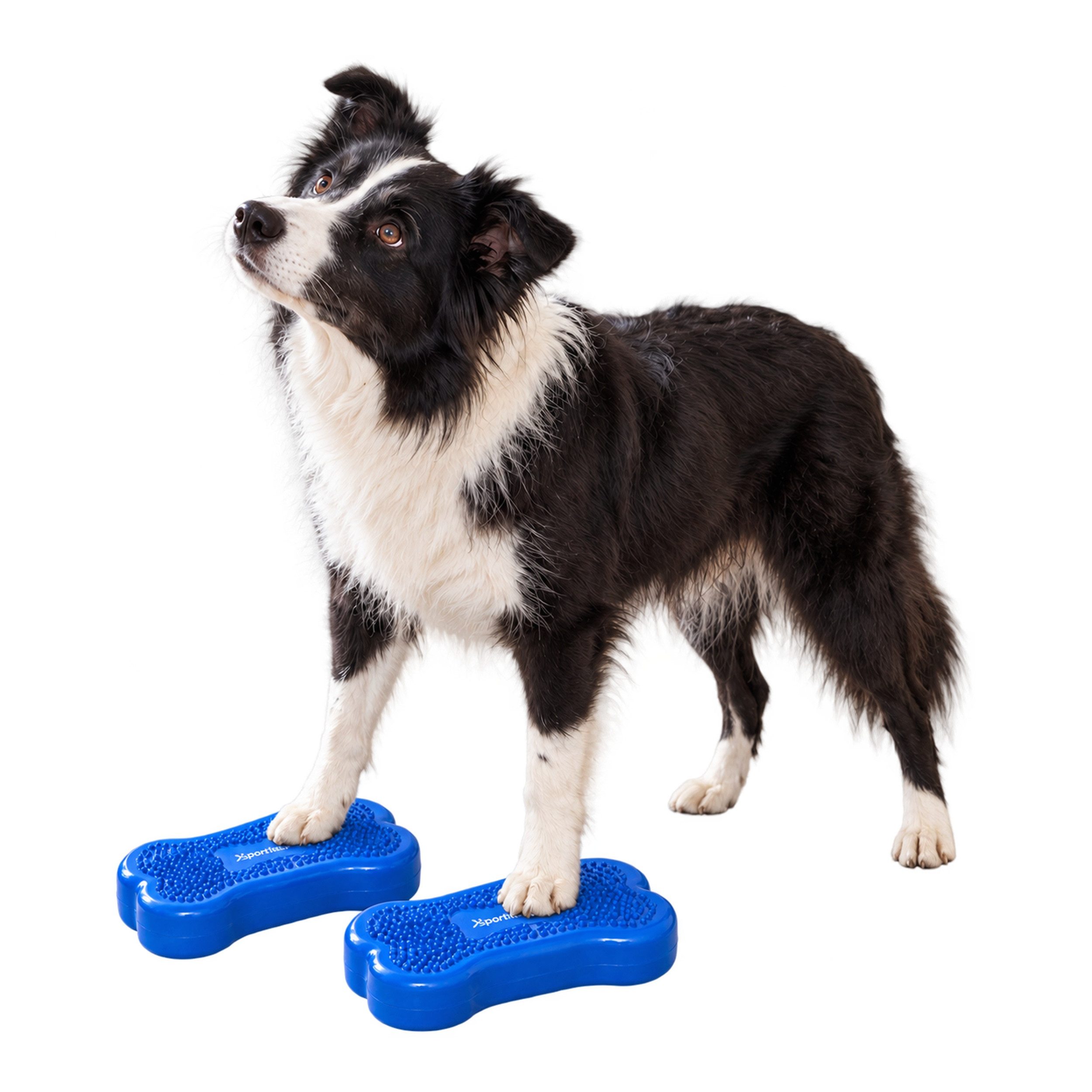 Superhund Balancetrainer 2er Balance-Knochen für Hunde – Small – 2x Blau – ohne Pumpe