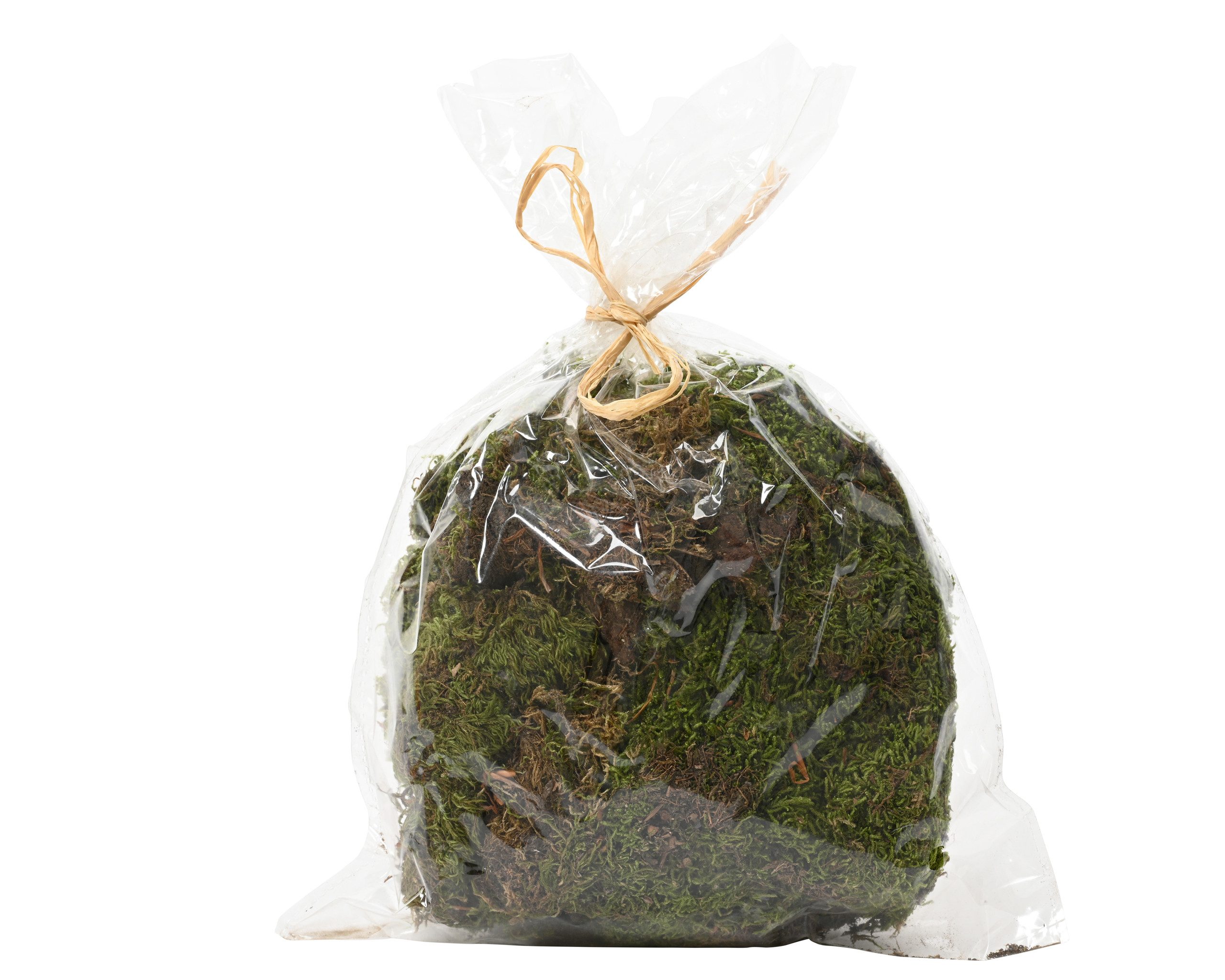 Kaemingk Bastelnaturmaterial, Moos Natur zum Basteln und Dekorieren 80g grün