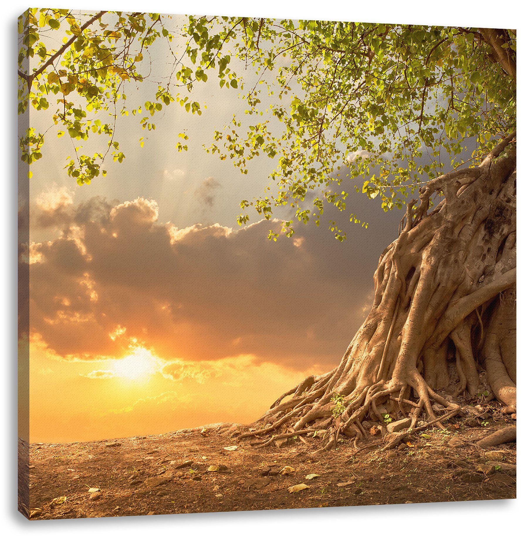 Pixxprint Leinwandbild Baum, Baum (1 St), Leinwandbild fertig bespannt, inkl. Zackenaufhänger